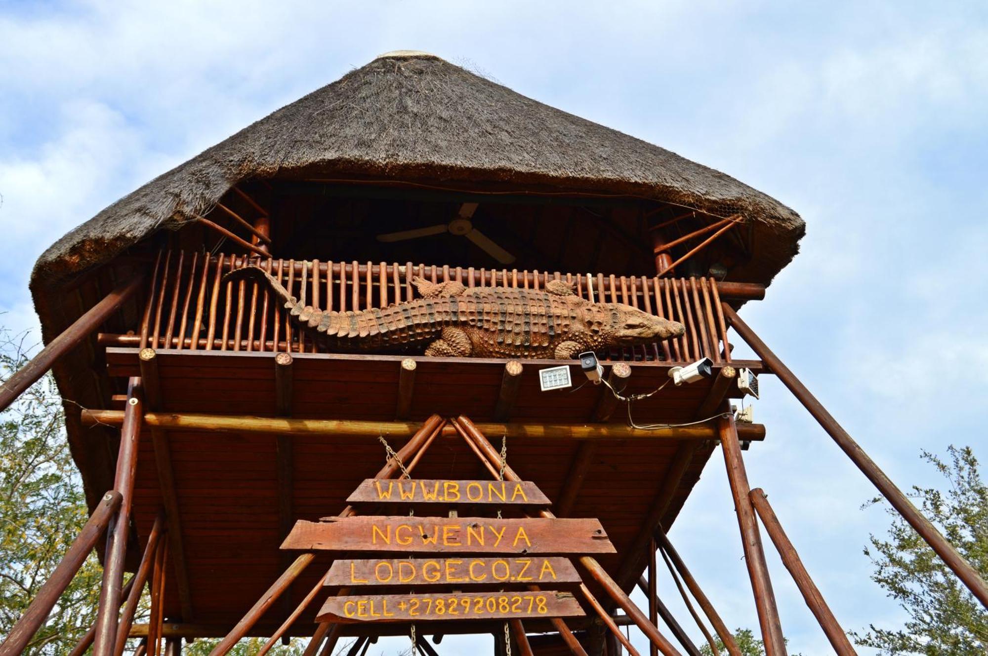 Bona Ngwenya Lodge & Safaris マールロス・パーク エクステリア 写真